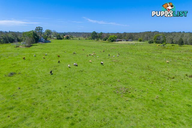 385 Fernbank Creek Road FERNBANK CREEK NSW 2444