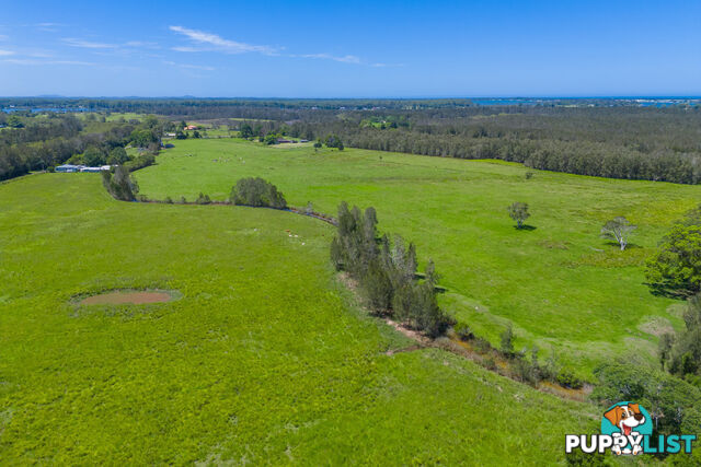 385 Fernbank Creek Road FERNBANK CREEK NSW 2444