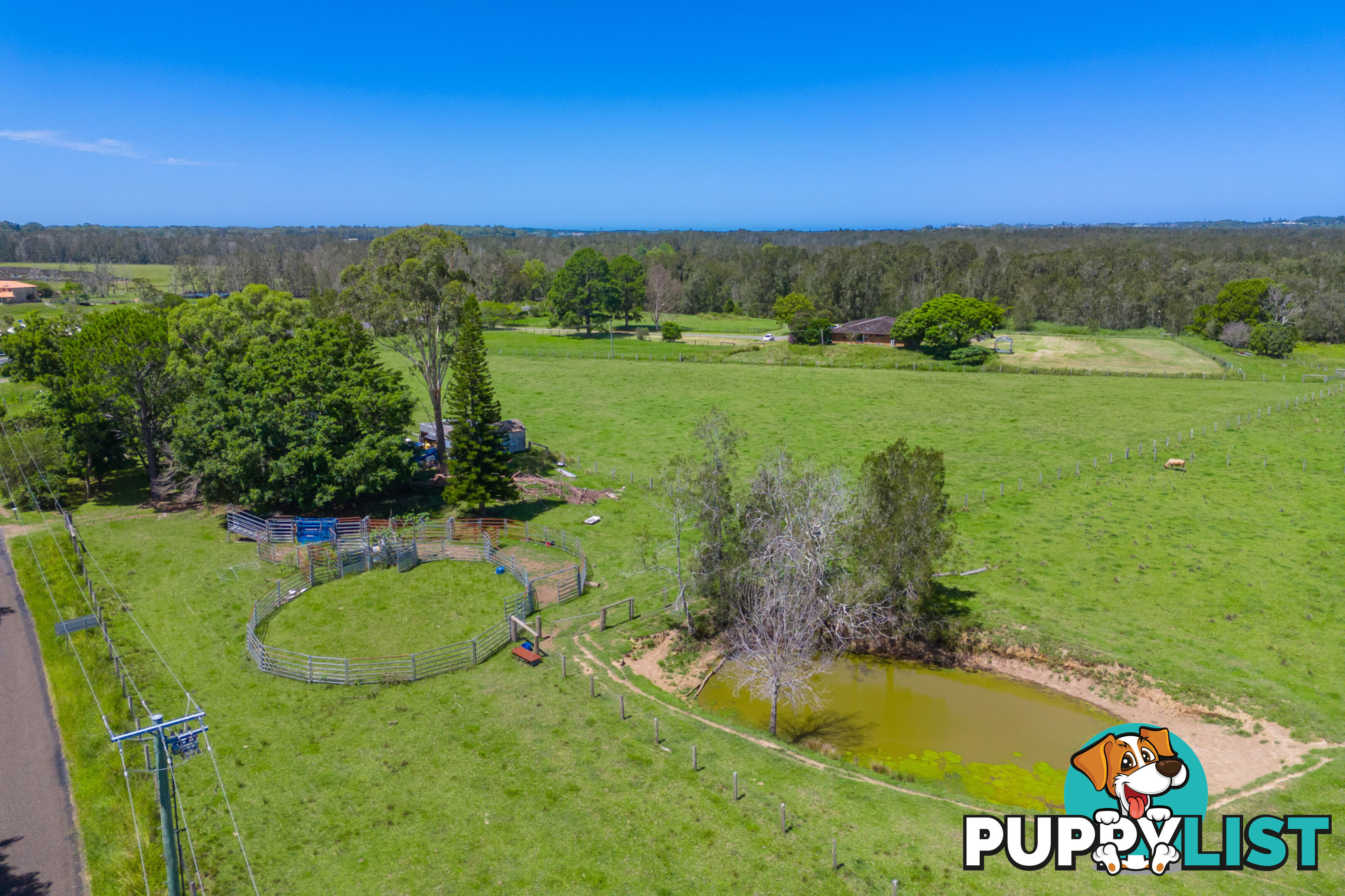 385 Fernbank Creek Road FERNBANK CREEK NSW 2444