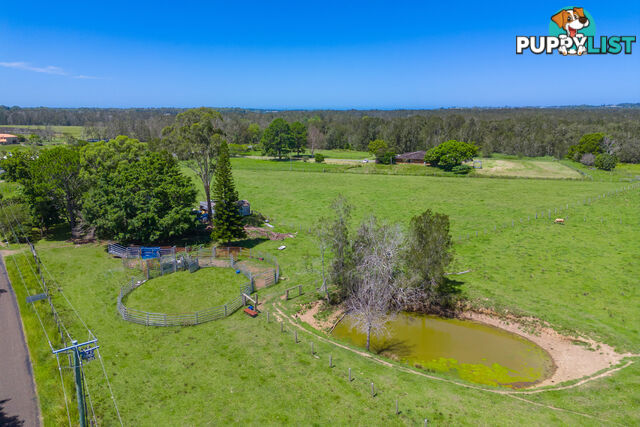 385 Fernbank Creek Road FERNBANK CREEK NSW 2444