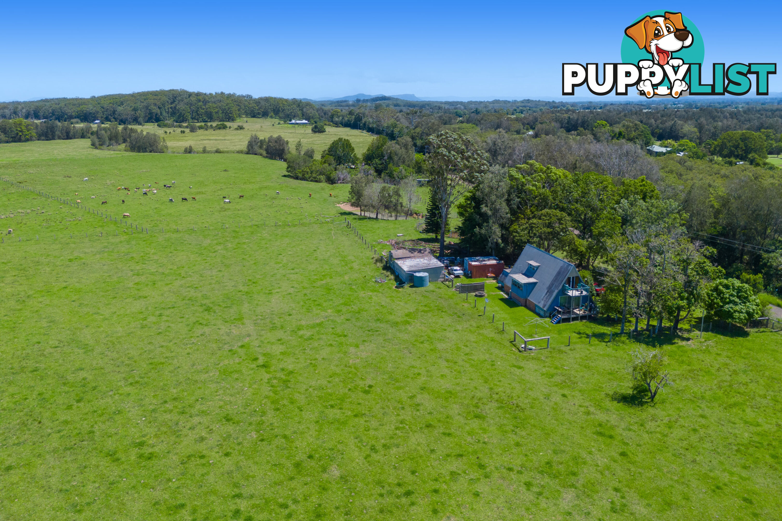 385 Fernbank Creek Road FERNBANK CREEK NSW 2444