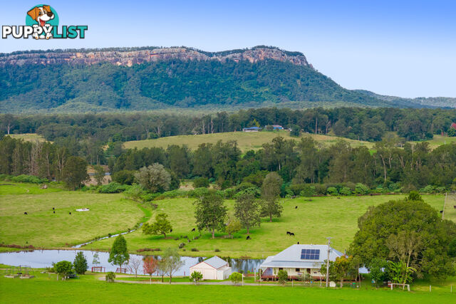 248 Hewen's Road BROMBIN NSW 2446