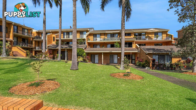 16/11-15 Hollingworth Street PORT MACQUARIE NSW 2444