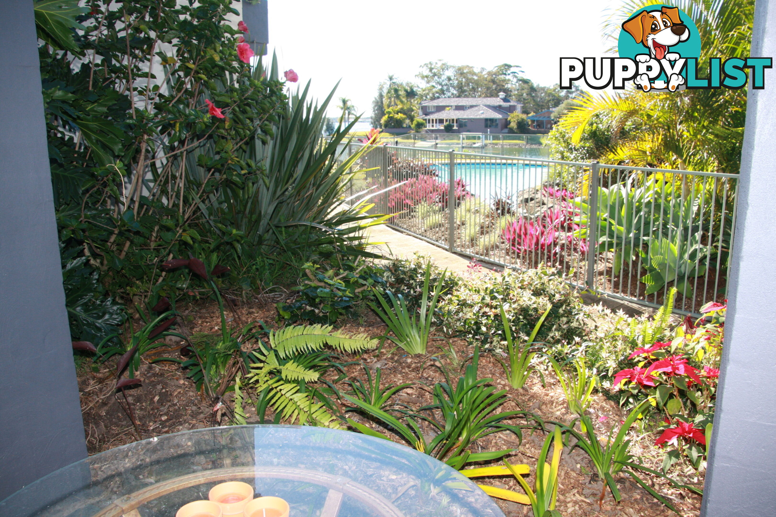 17/66-68 Hibbard Drive PORT MACQUARIE NSW 2444