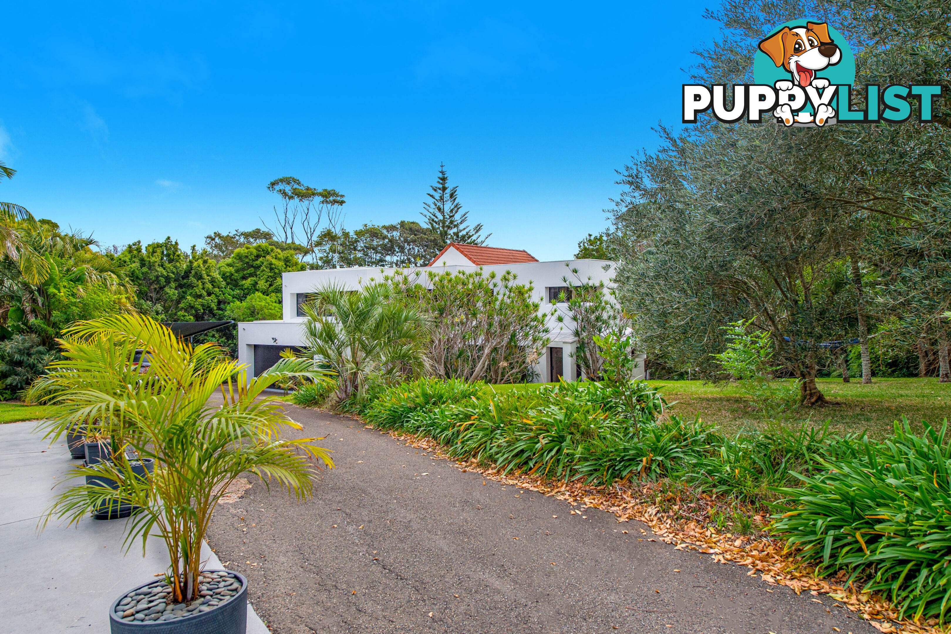 12 Daintree Lane PORT MACQUARIE NSW 2444