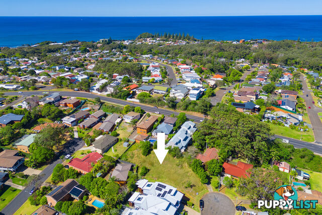 11 Gurra Place PORT MACQUARIE NSW 2444