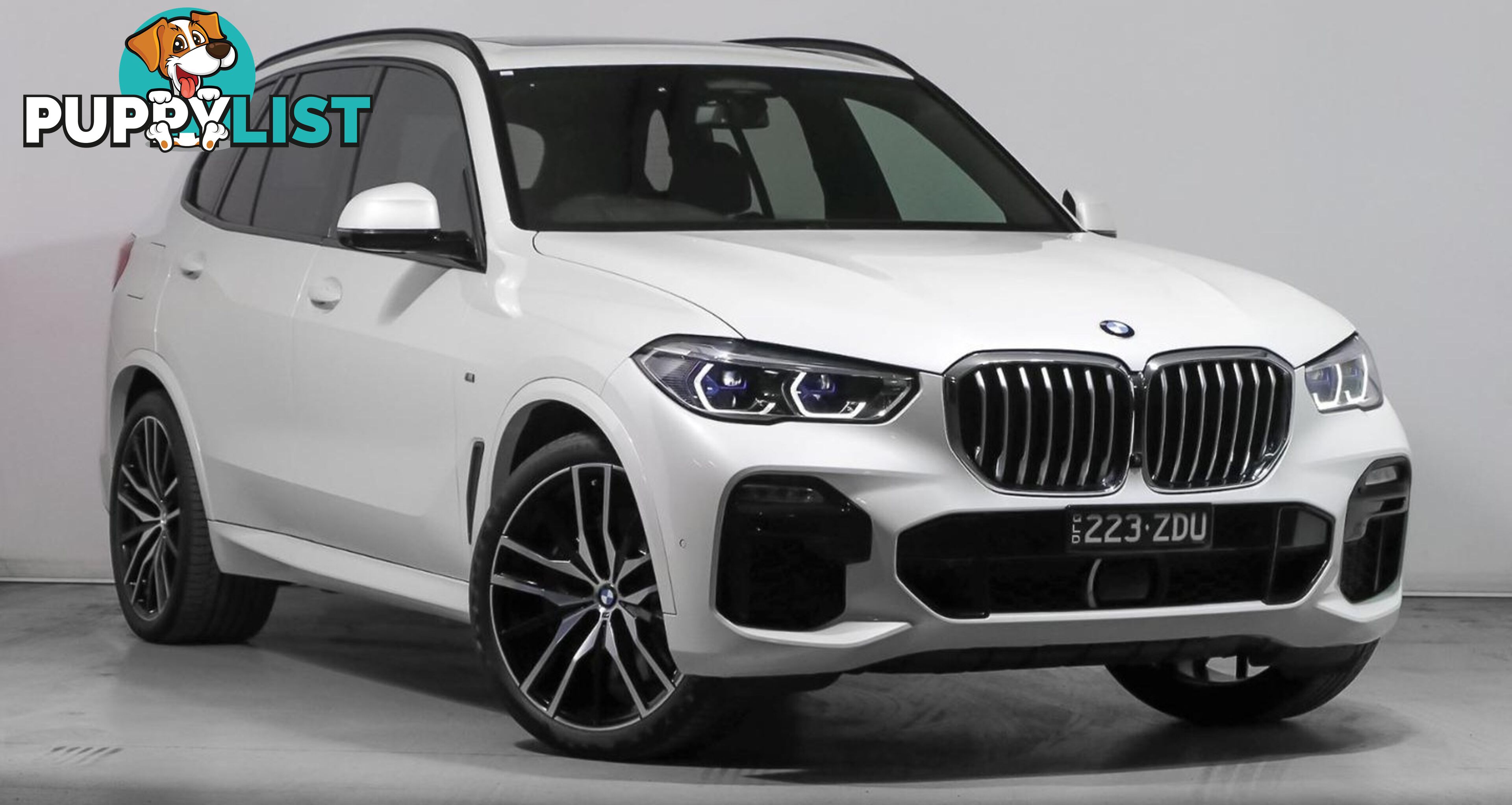 2019 BMW X5 XDrive 30d SUV Automatic