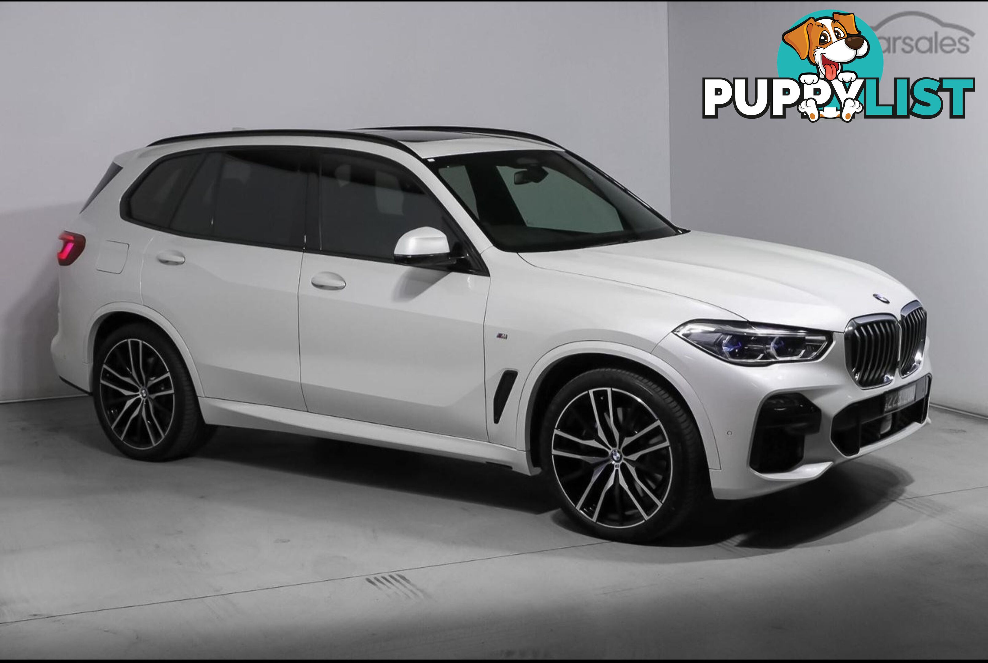 2019 BMW X5 XDrive 30d SUV Automatic