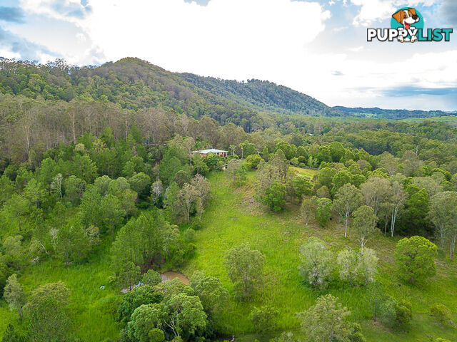 99 Sunshine Road WOLVI QLD 4570