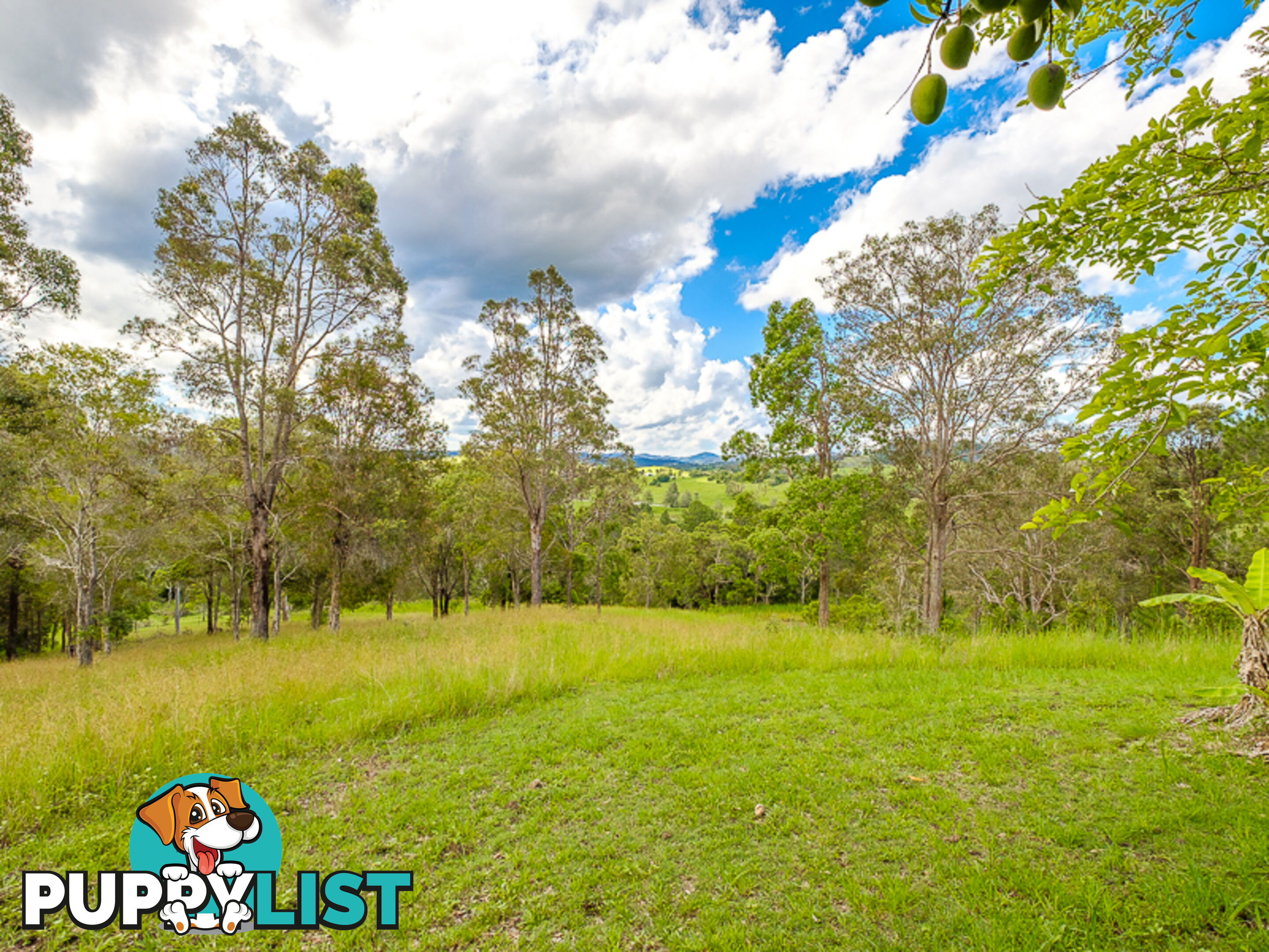 99 Sunshine Road WOLVI QLD 4570