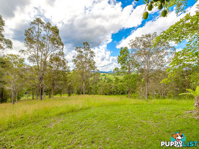 99 Sunshine Road WOLVI QLD 4570