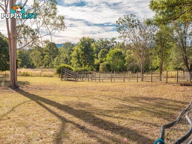 64 Hawkins Road WIDGEE QLD 4570