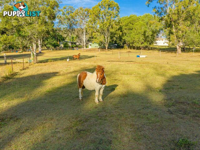 64 Hawkins Road WIDGEE QLD 4570