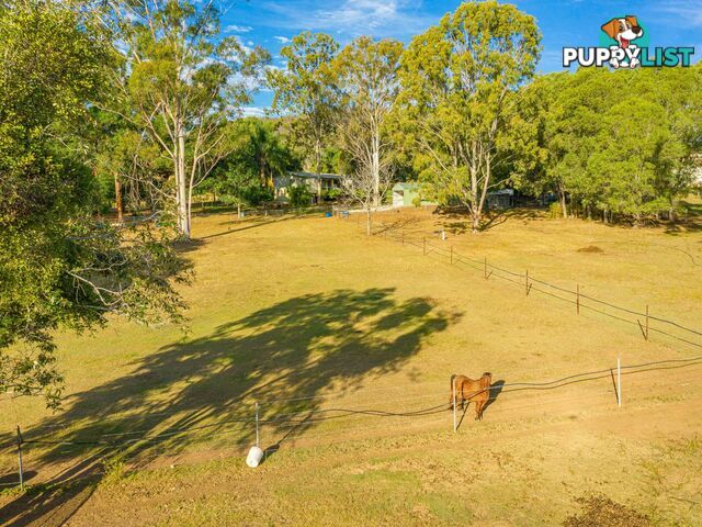 64 Hawkins Road WIDGEE QLD 4570