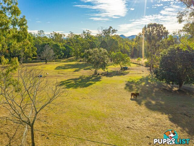 64 Hawkins Road WIDGEE QLD 4570