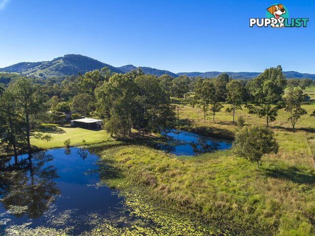 1014 Noosa Road MOTHAR MOUNTAIN QLD 4570