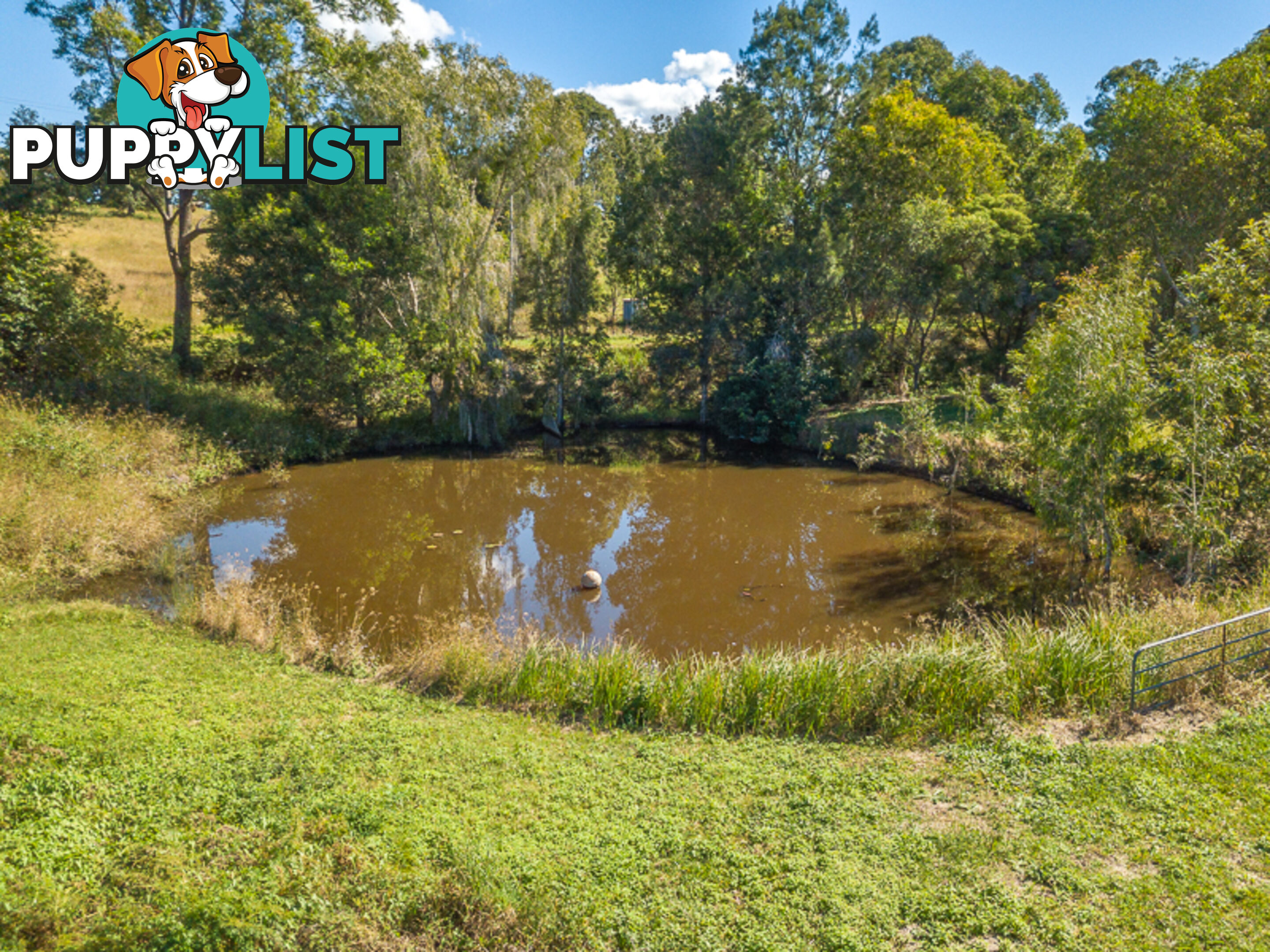 218 Lawson Road MCINTOSH CREEK QLD 4570