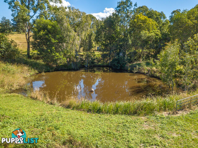 218 Lawson Road MCINTOSH CREEK QLD 4570