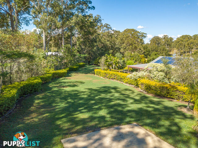 218 Lawson Road MCINTOSH CREEK QLD 4570