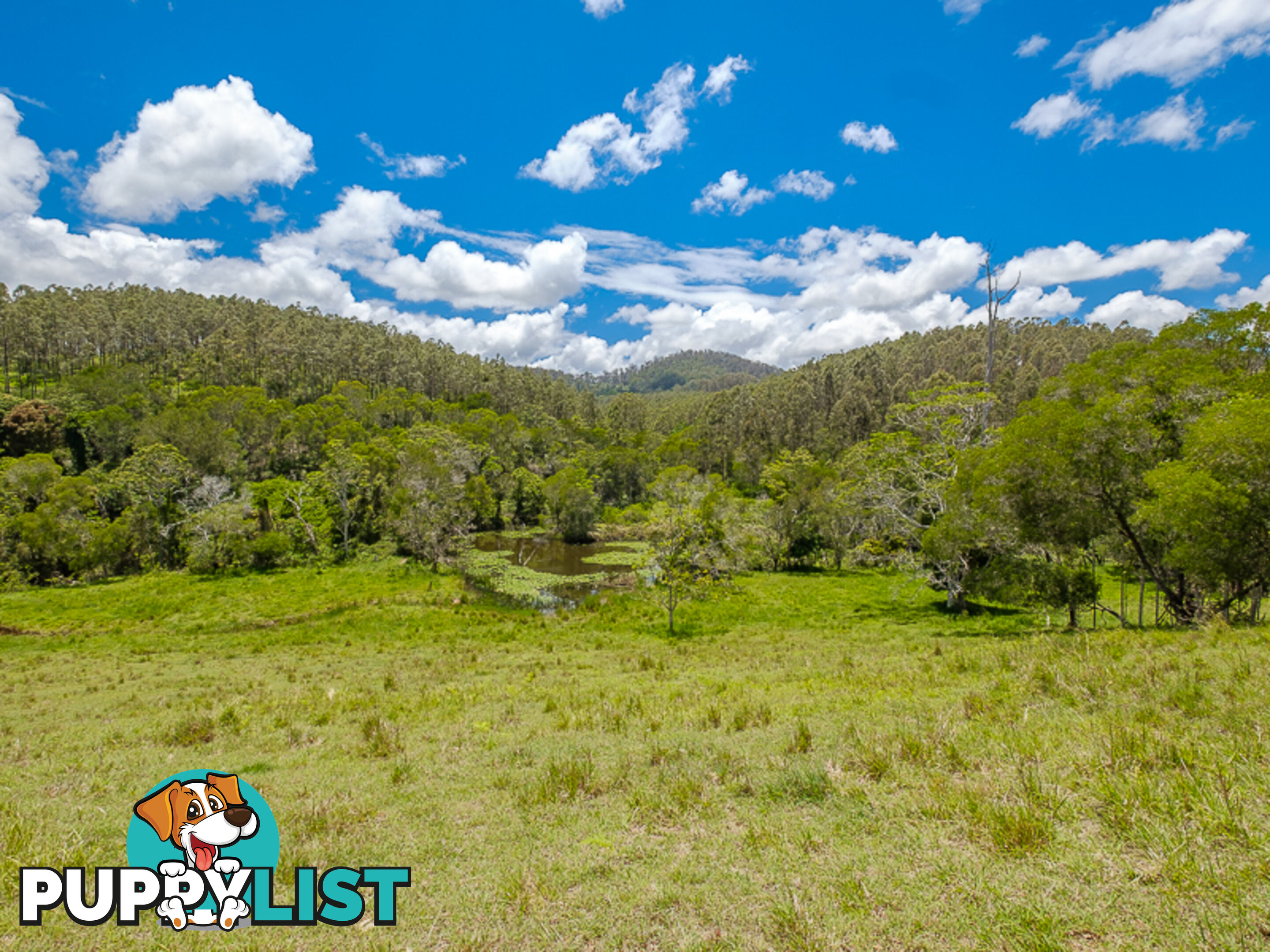 1386 Sandy Creek Road DOWNSFIELD QLD 4570