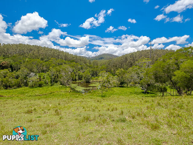 1386 Sandy Creek Road DOWNSFIELD QLD 4570