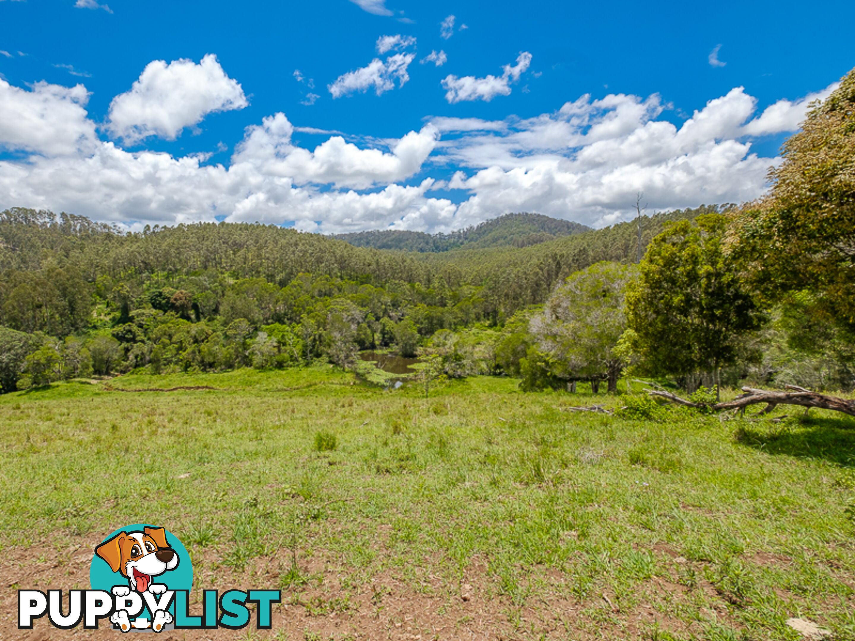 1386 Sandy Creek Road DOWNSFIELD QLD 4570