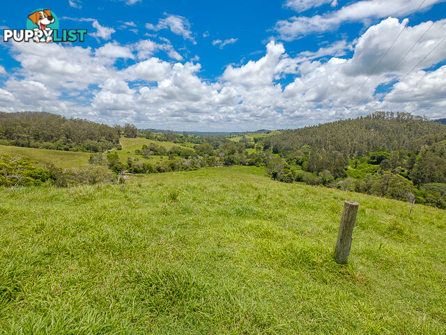 1386 Sandy Creek Road DOWNSFIELD QLD 4570