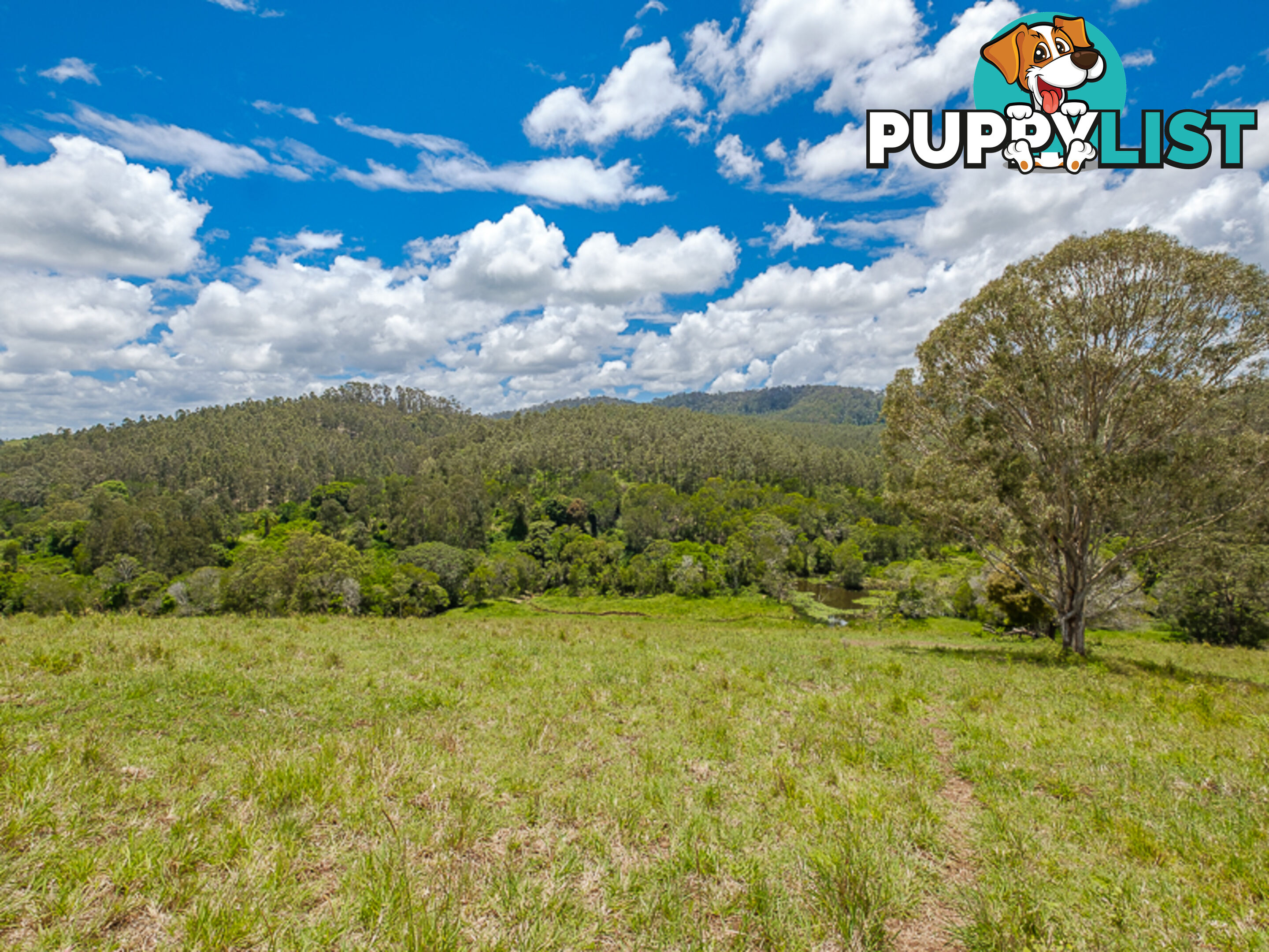 1386 Sandy Creek Road DOWNSFIELD QLD 4570