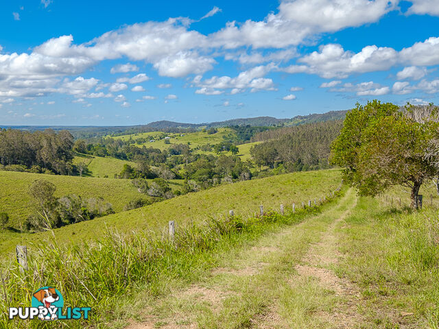 1386 Sandy Creek Road DOWNSFIELD QLD 4570