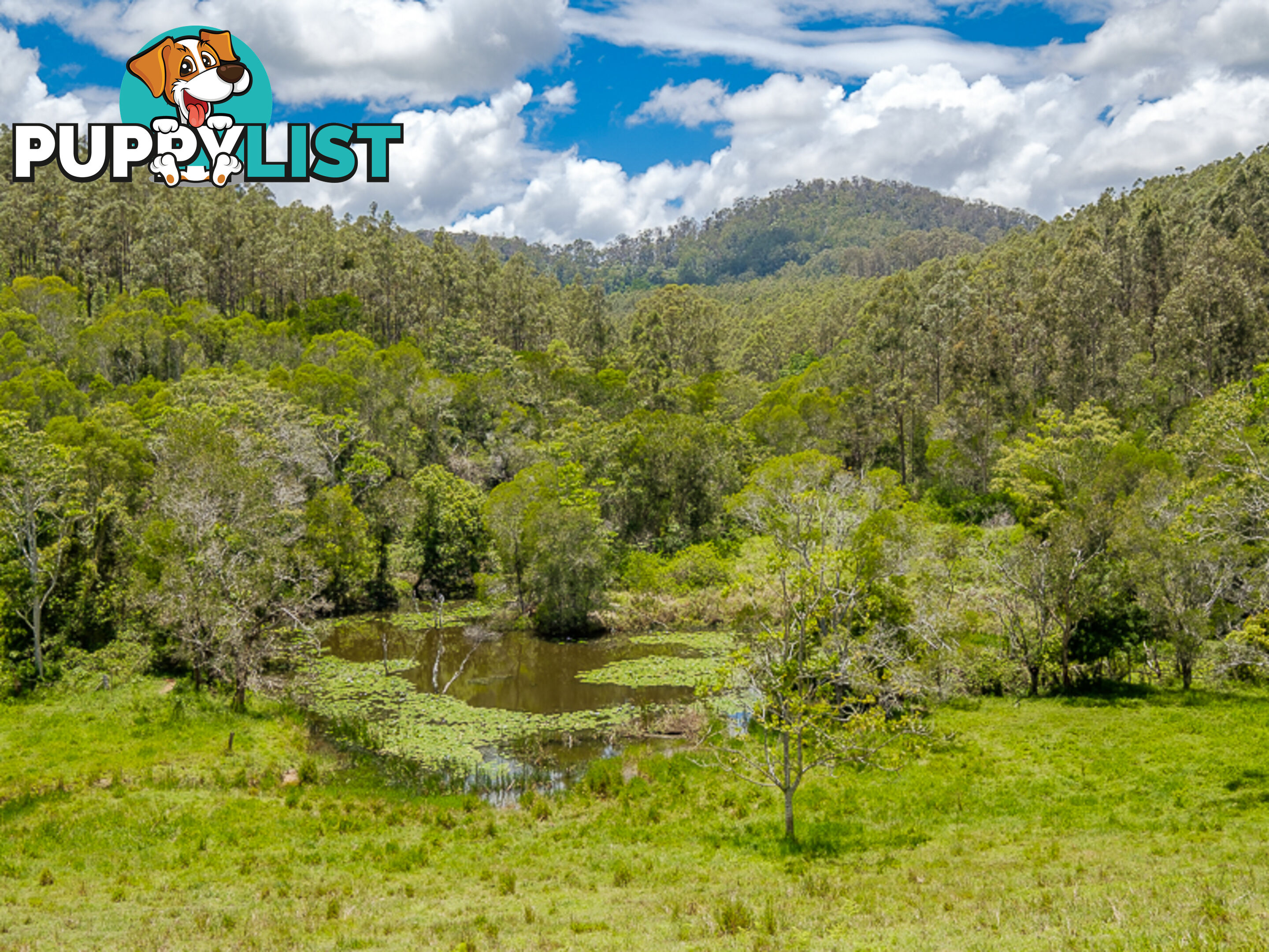 1386 Sandy Creek Road DOWNSFIELD QLD 4570