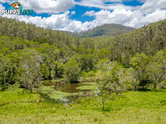 1386 Sandy Creek Road DOWNSFIELD QLD 4570