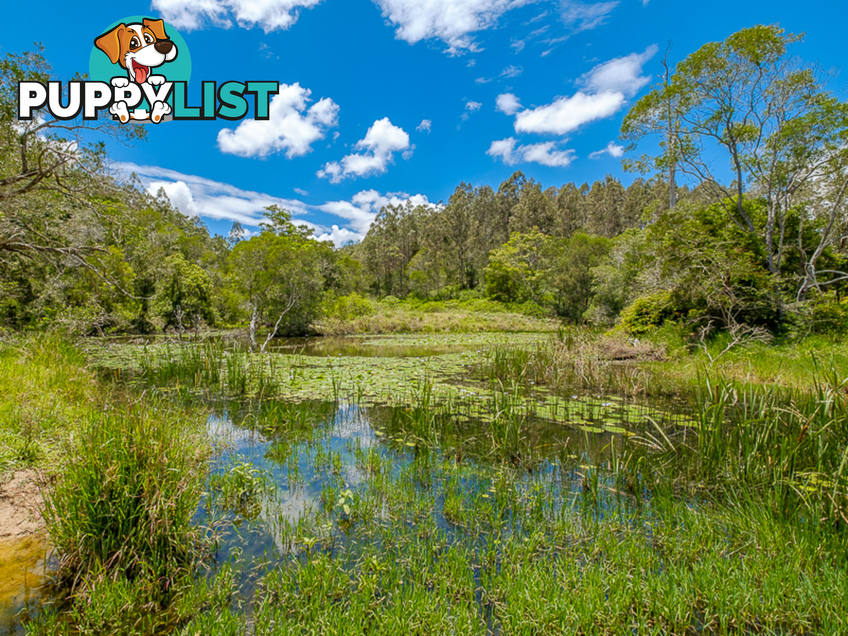 1386 Sandy Creek Road DOWNSFIELD QLD 4570