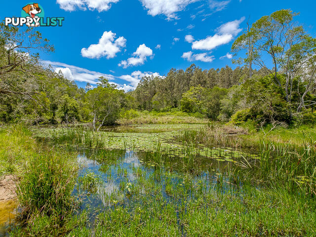 1386 Sandy Creek Road DOWNSFIELD QLD 4570