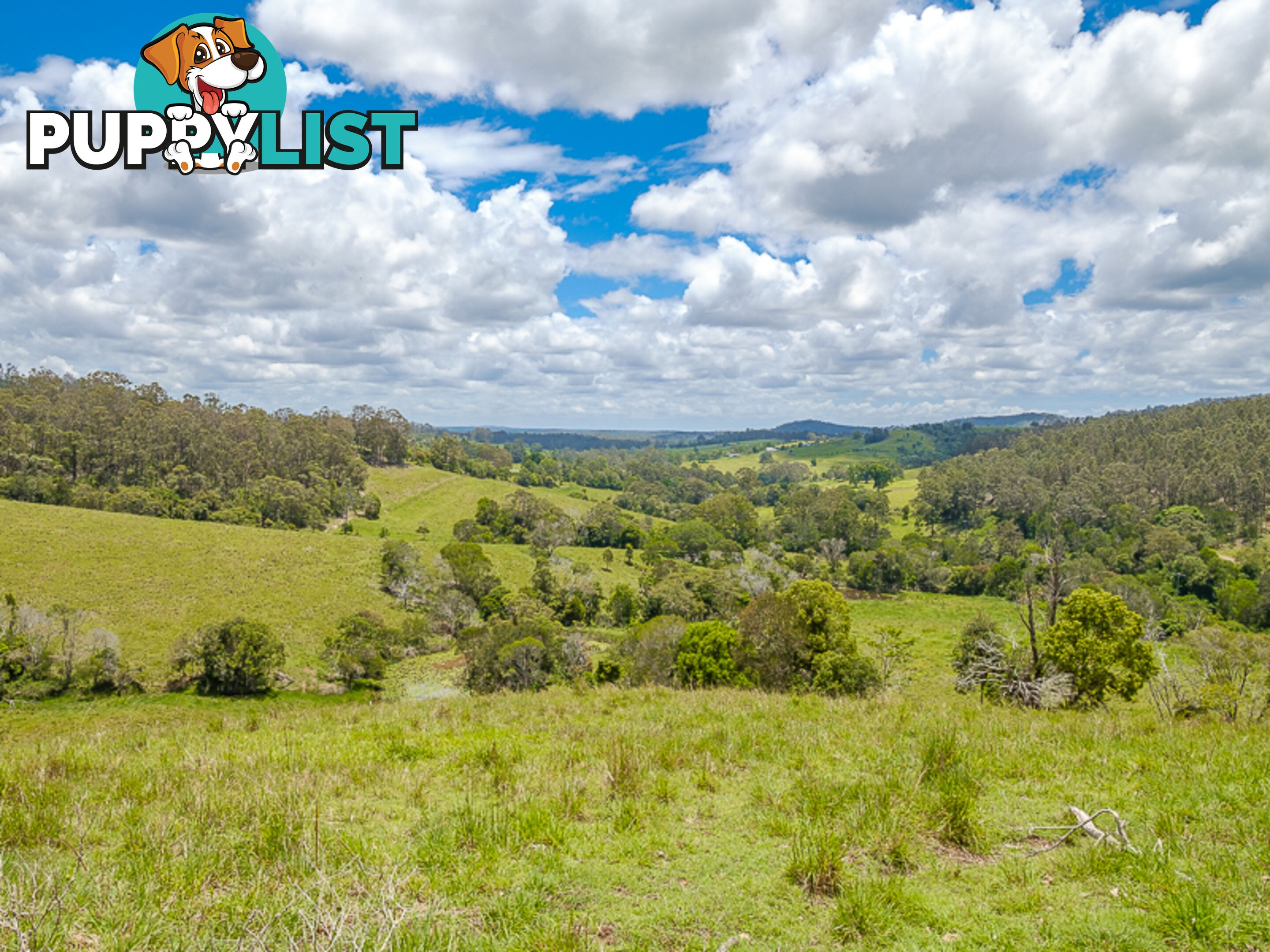 1386 Sandy Creek Road DOWNSFIELD QLD 4570