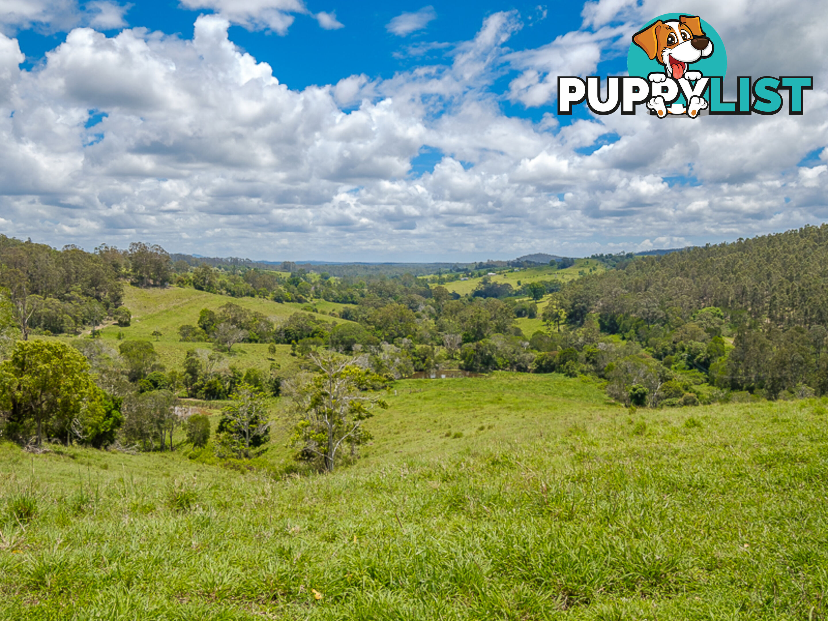 1386 Sandy Creek Road DOWNSFIELD QLD 4570