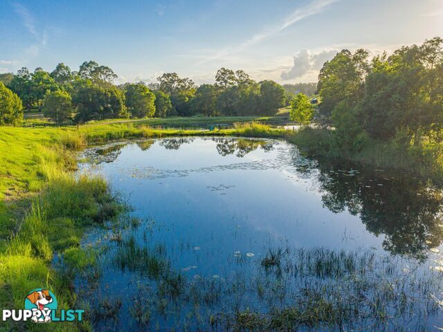 161 Tatnell Road NORTH DEEP CREEK QLD 4570