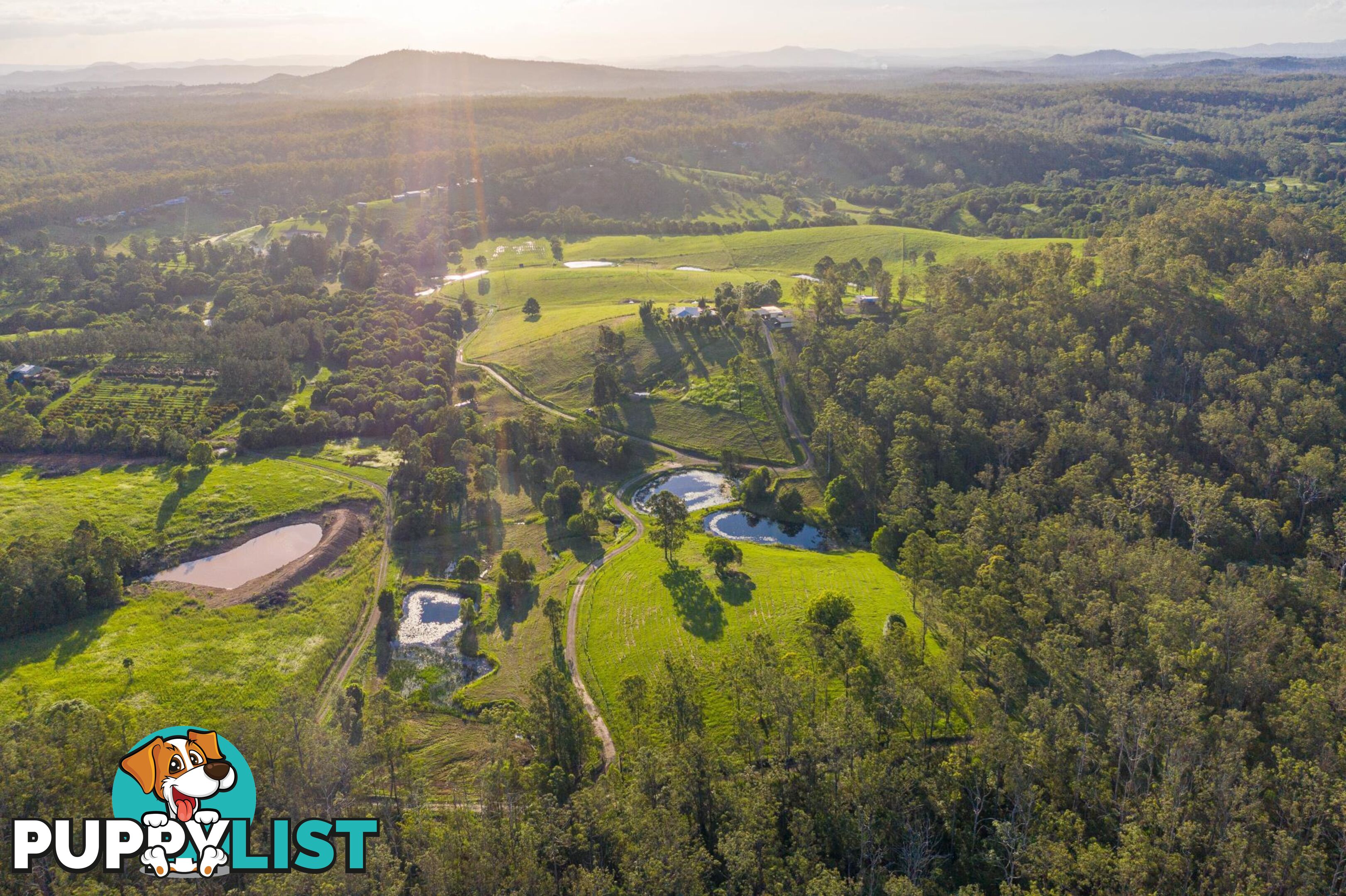 161 Tatnell Road NORTH DEEP CREEK QLD 4570