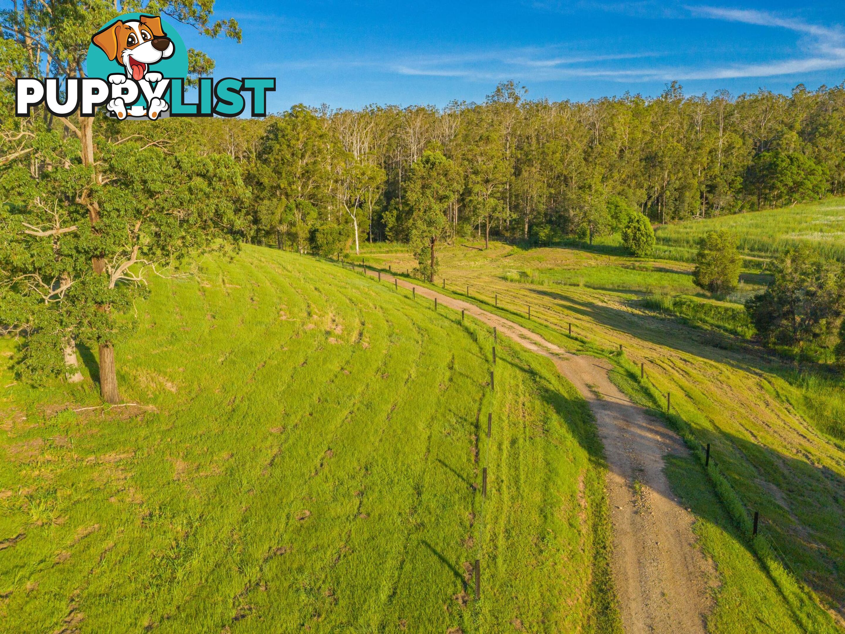 161 Tatnell Road NORTH DEEP CREEK QLD 4570