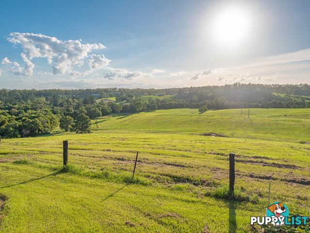 161 Tatnell Road NORTH DEEP CREEK QLD 4570