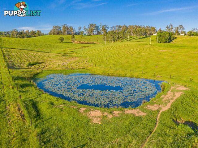 161 Tatnell Road NORTH DEEP CREEK QLD 4570