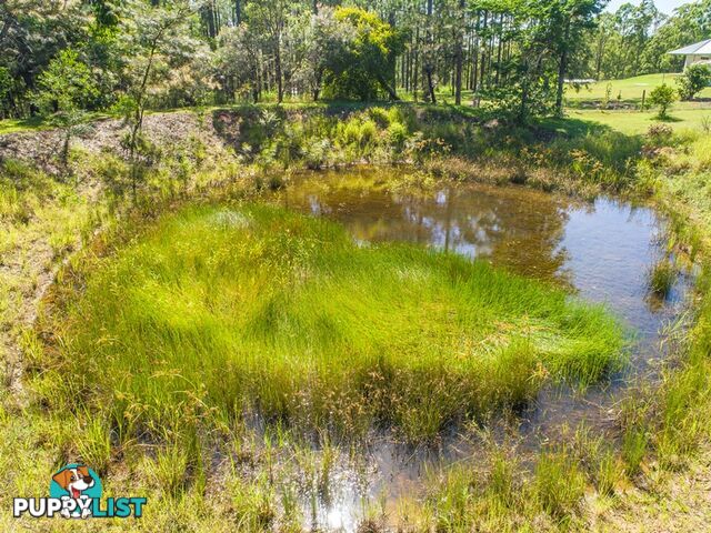 119 Arboreleven Road GLENWOOD QLD 4570