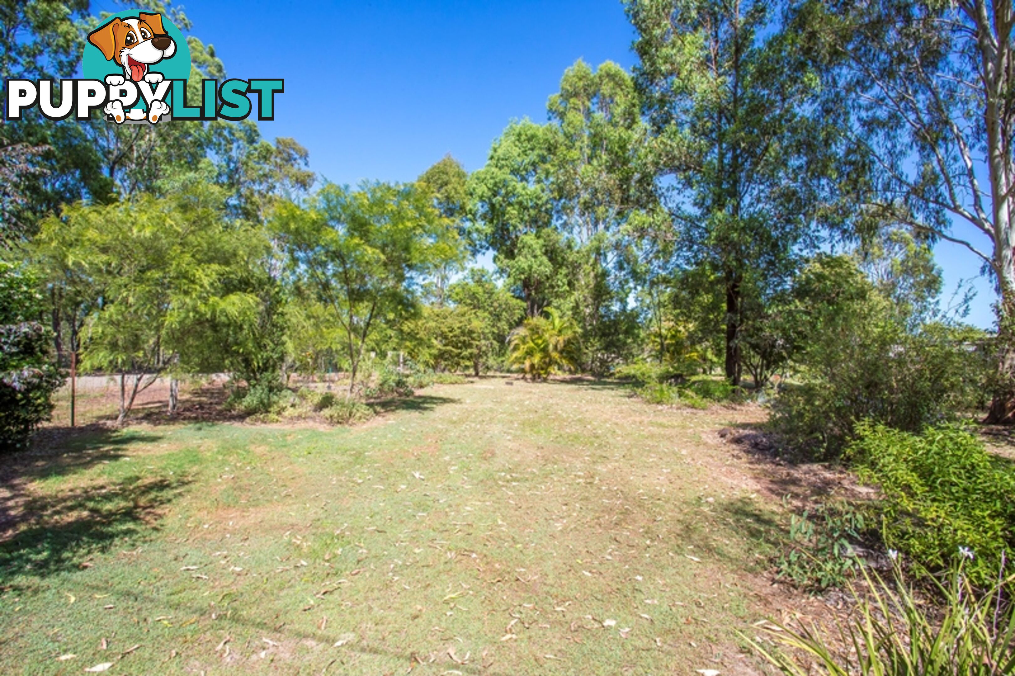 119 Arboreleven Road GLENWOOD QLD 4570