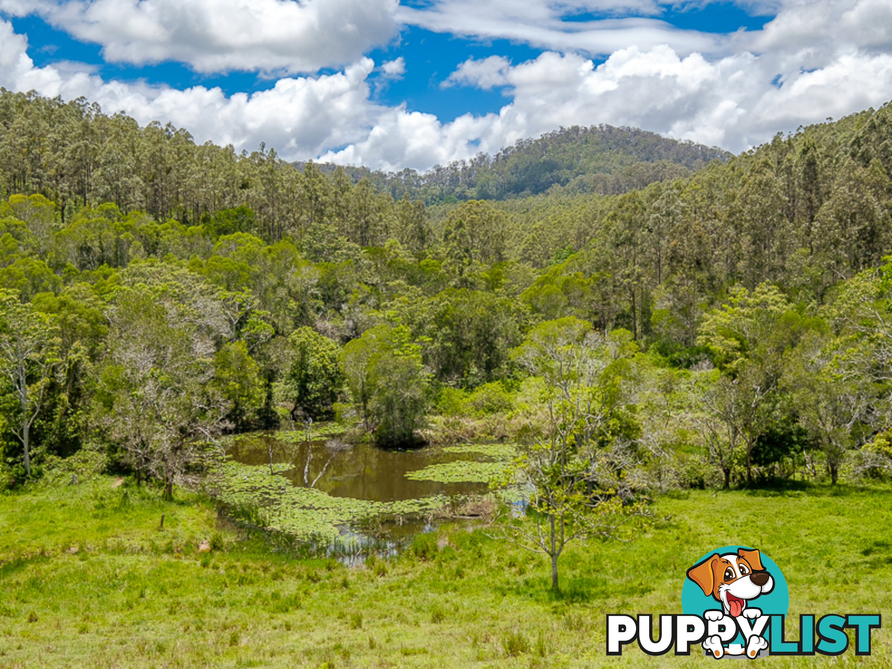 1386 Sandy Creek Rd DOWNSFIELD QLD 4570