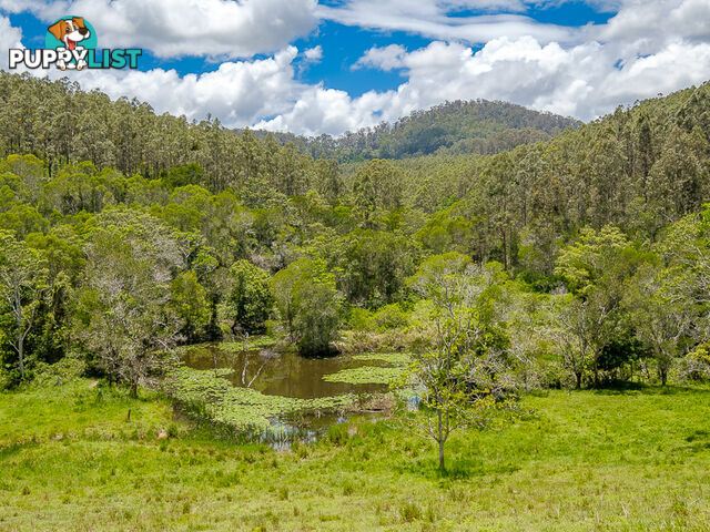 1386 Sandy Creek Rd DOWNSFIELD QLD 4570