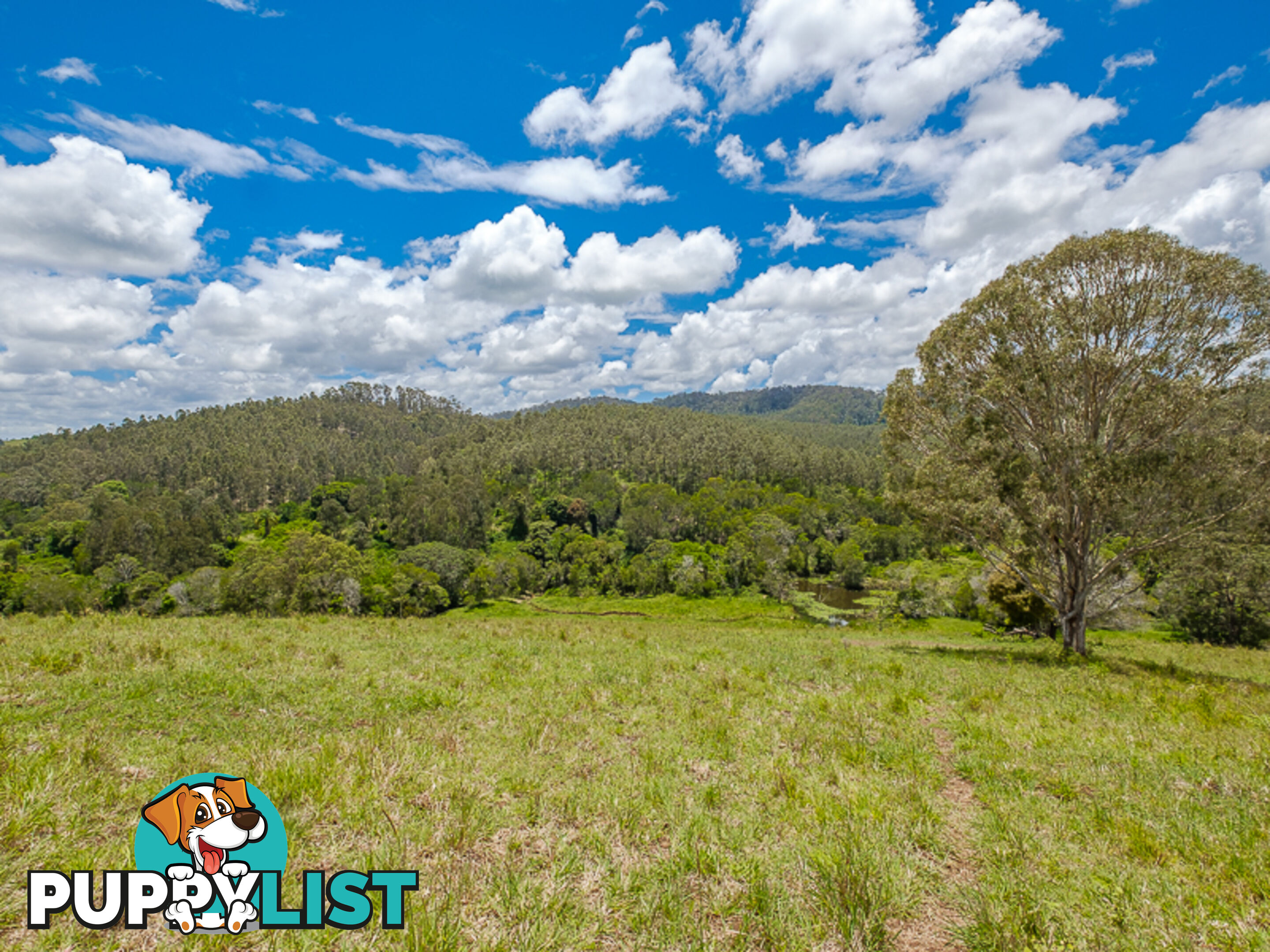 1386 Sandy Creek Rd DOWNSFIELD QLD 4570