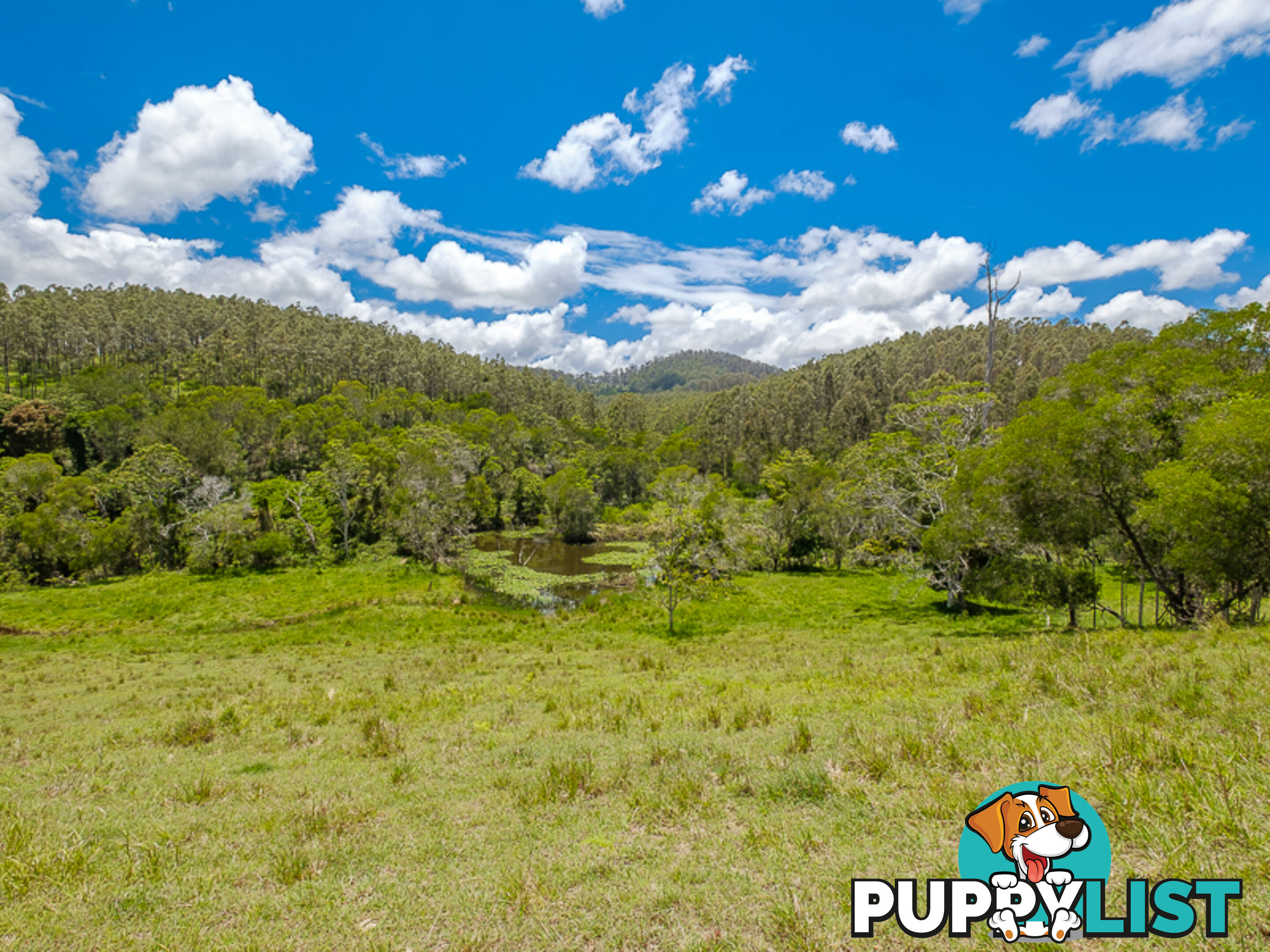 1386 Sandy Creek Rd DOWNSFIELD QLD 4570