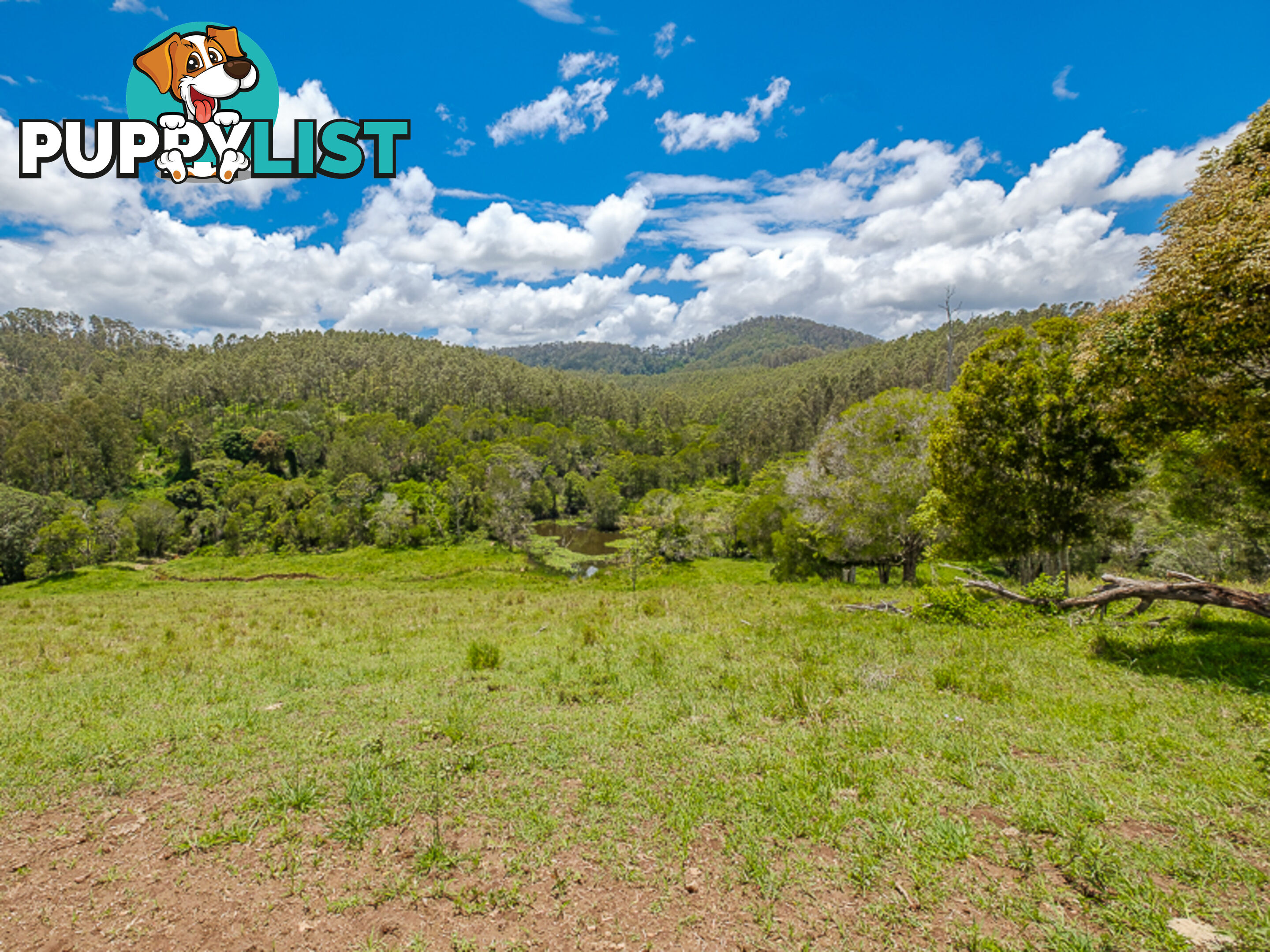 1386 Sandy Creek Rd DOWNSFIELD QLD 4570