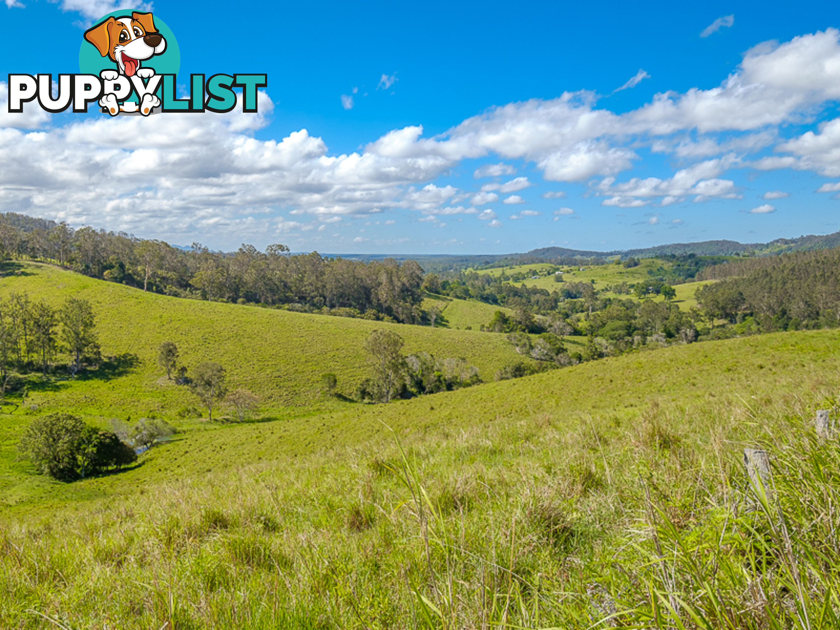 1386 Sandy Creek Rd DOWNSFIELD QLD 4570