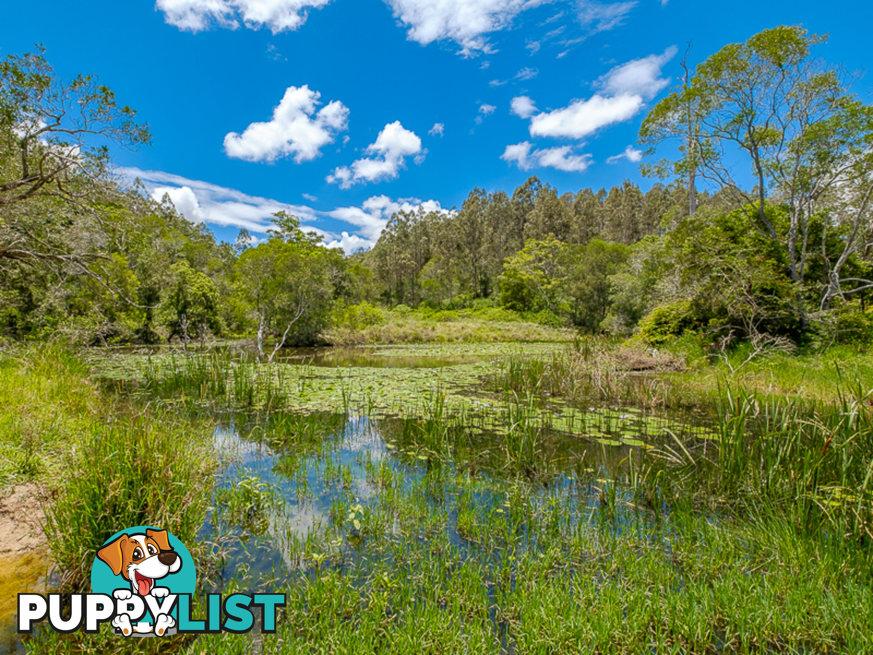 1386 Sandy Creek Rd DOWNSFIELD QLD 4570