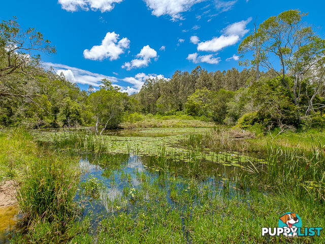 1386 Sandy Creek Rd DOWNSFIELD QLD 4570